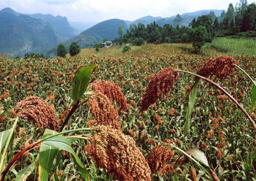 點(diǎn)擊查看詳細(xì)信息<br>標(biāo)題：   閱讀次數(shù)：3091